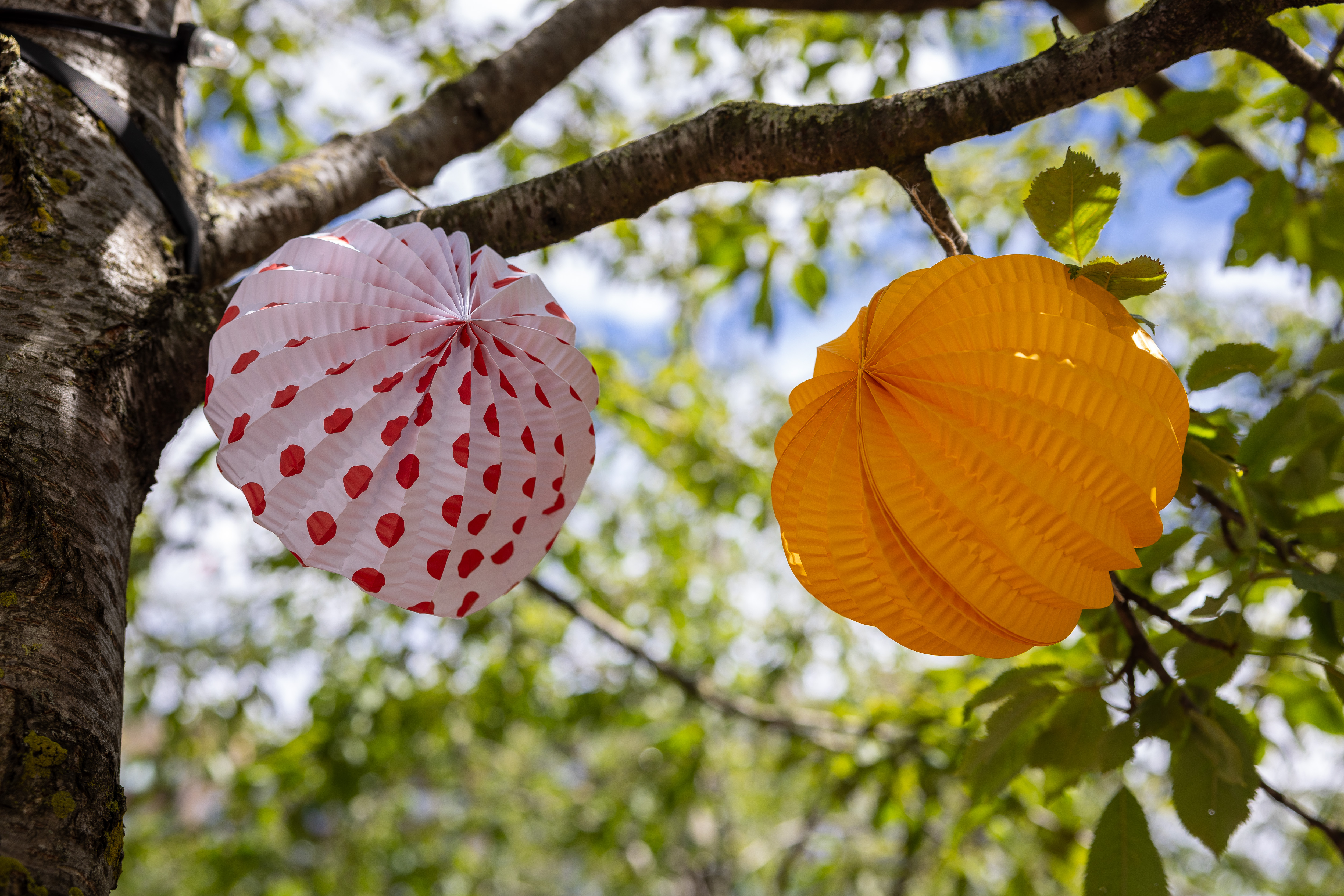 decor on trees