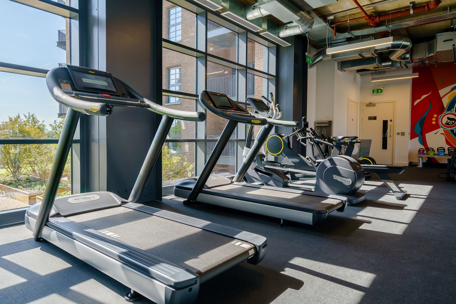 Ferrum Social Gym treadmill