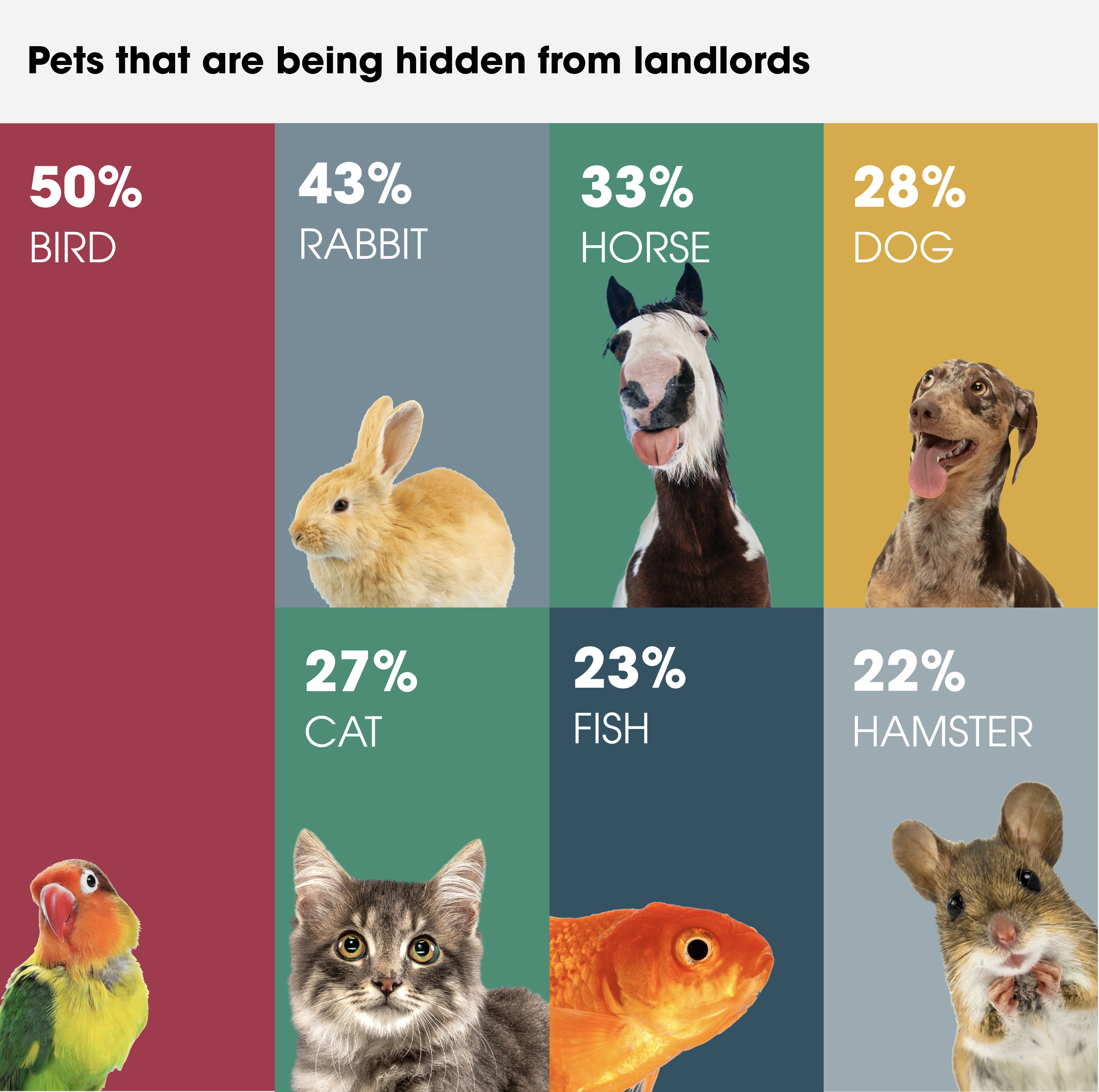 Pets that are being hidden from landlords