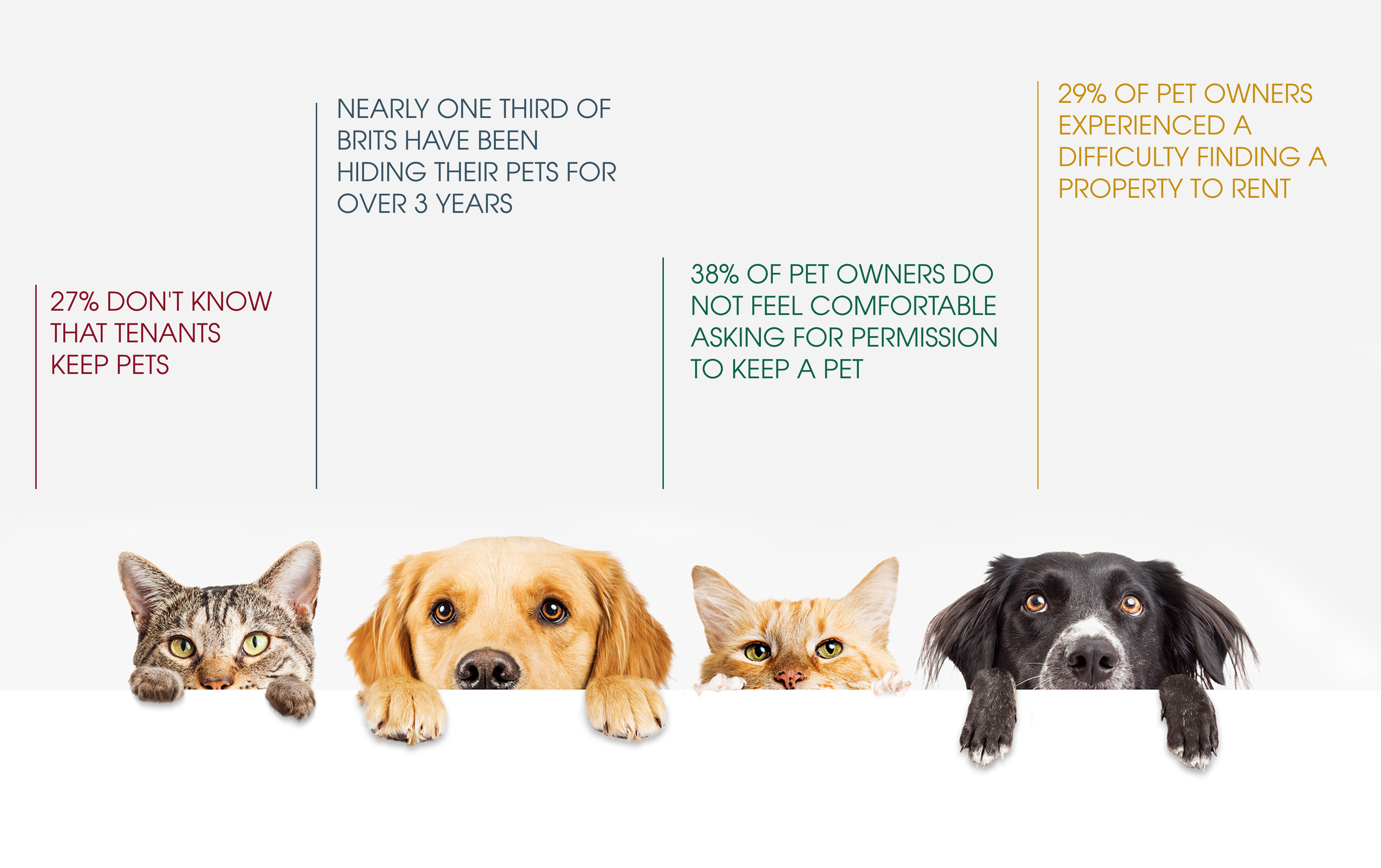 Renting with pets in the UK - statistics 1