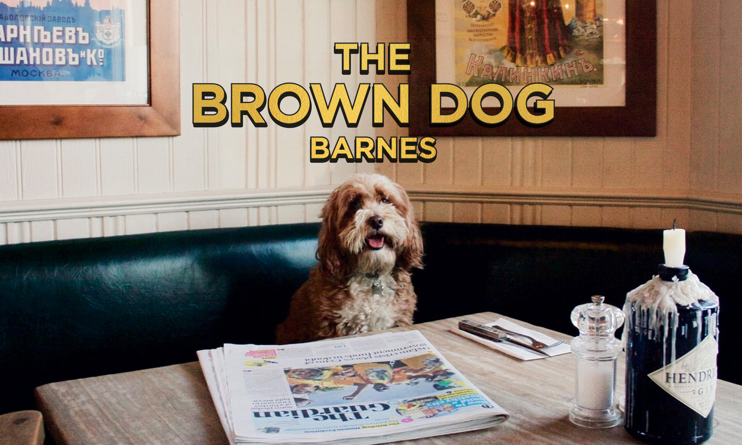 The Brown Dog Pub