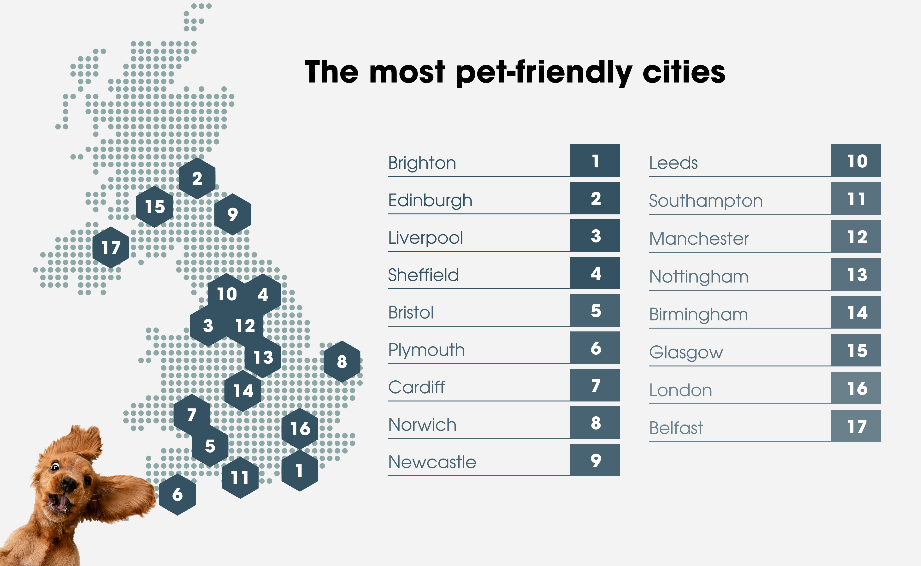 The most pet-friendly cities