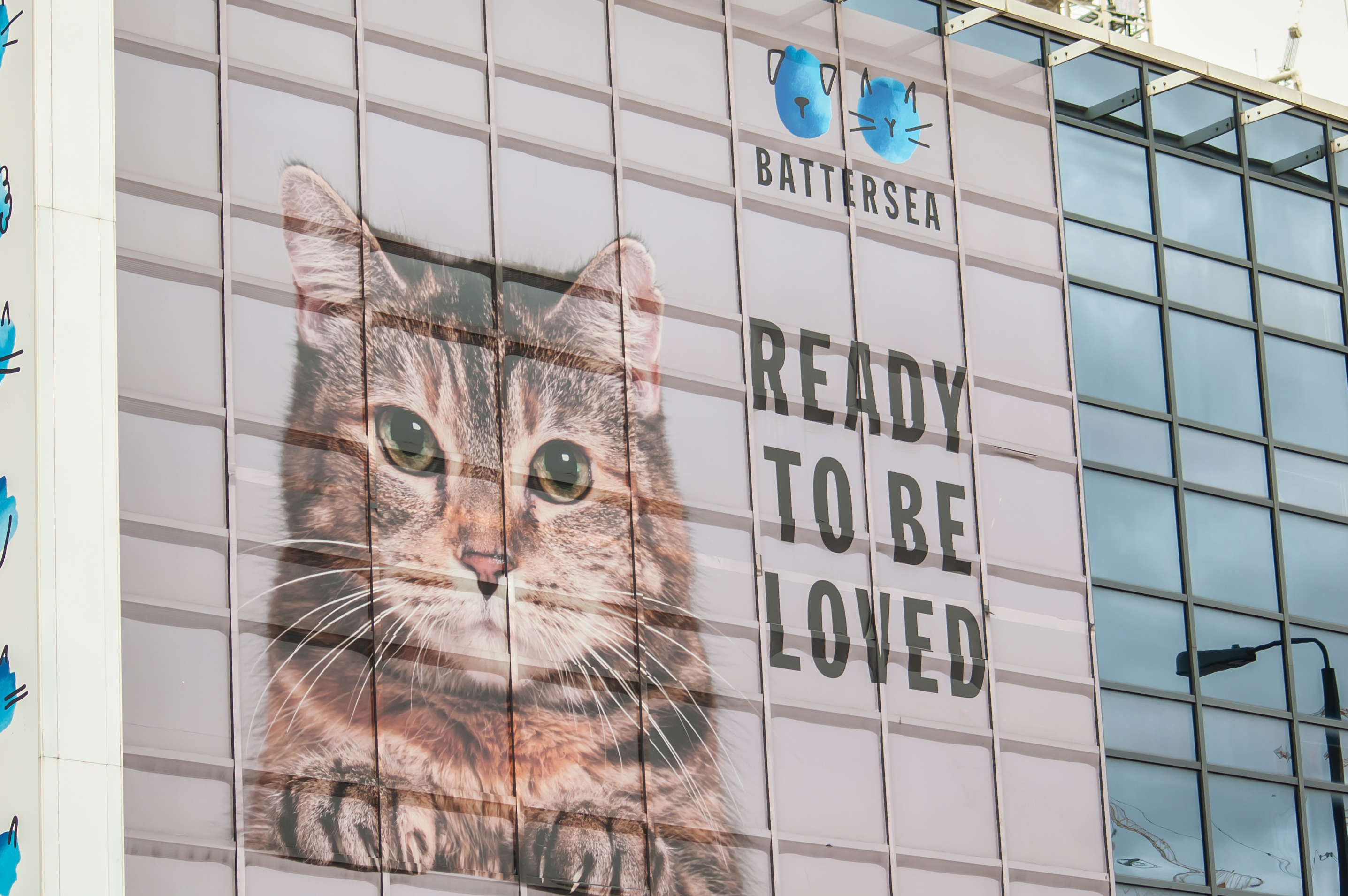 Billboard of a cat with text that says "Ready to be loved"
