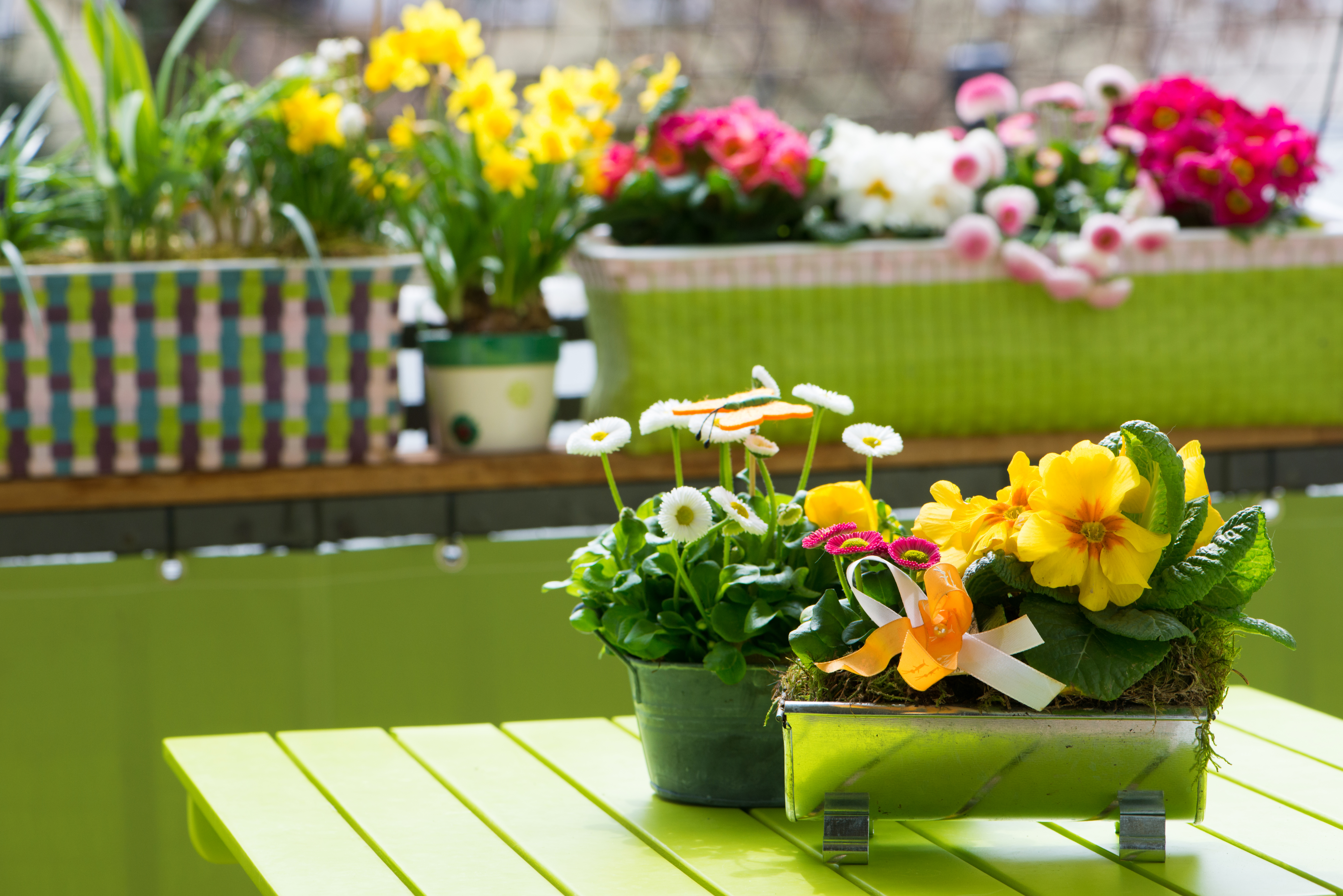 flowers on bright green painted table 