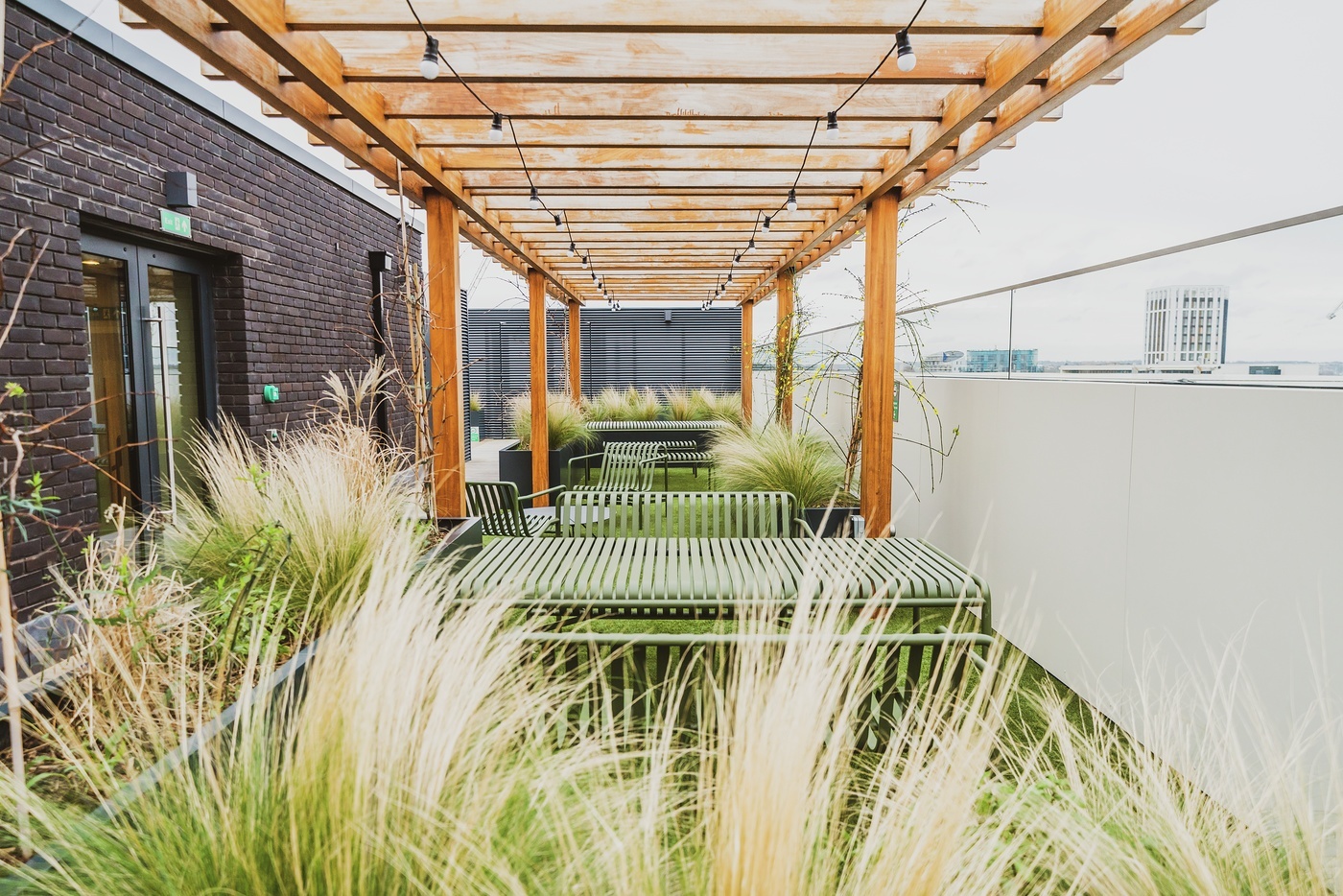 Alameda roof garden 