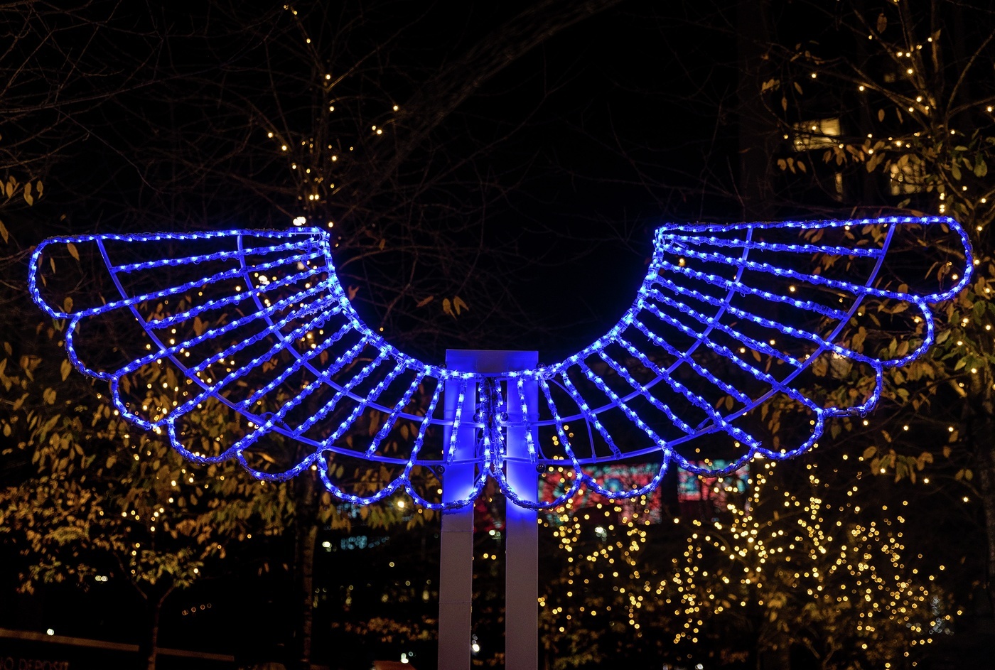 The lights at Winterfest Wembley Park