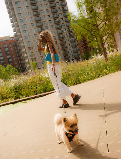 a person walking their dog