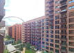 a1aN1000007RHGrIAO.jpg
