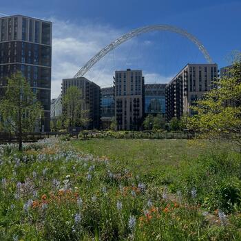 Instagram post about Quintain Living.