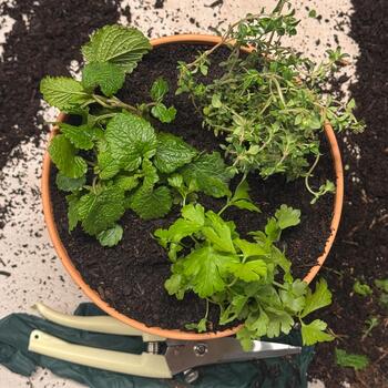 Instagram post about Quintain Living.