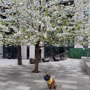 Instagram post about Quintain Living.