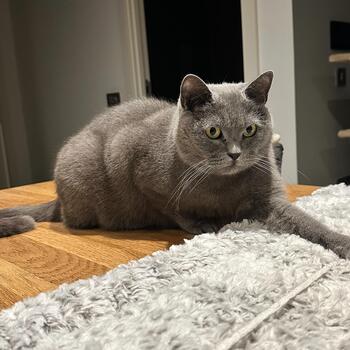 Instagram post about Quintain Living.