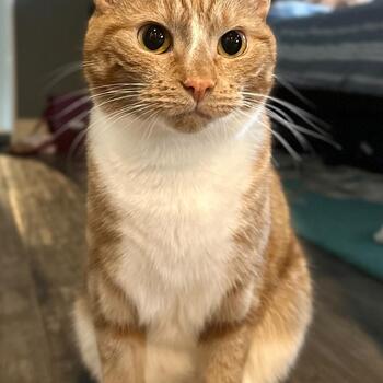 Instagram post about Quintain Living.