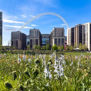 Instagram post about Quintain Living.