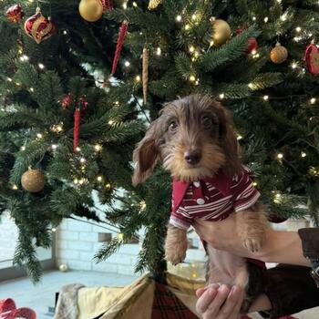 Instagram post about Quintain Living.