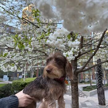 Instagram post about Quintain Living.