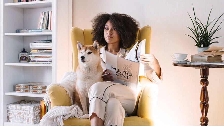 Dog armchair