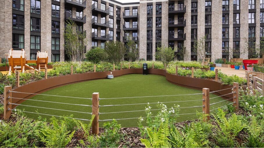 Dog Run Robinson