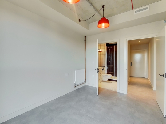 1725 The Robinson South image #3