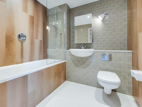 1145 Collyer image #6