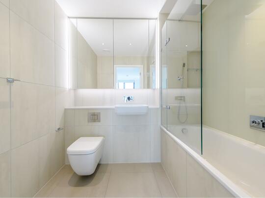 118 Alto image #8