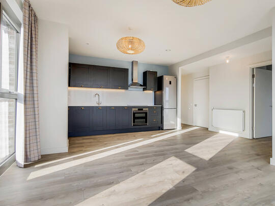 1311 Thomson