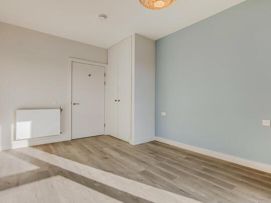 1311 Thomson