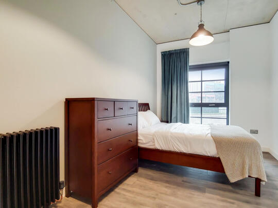 554 Ferrum