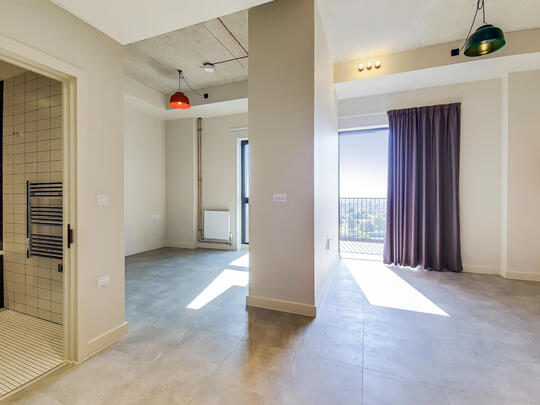 1124 The Robinson South image #3