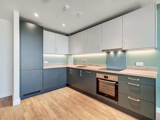 1133 Birch House