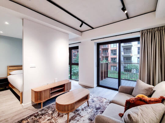 218 Solar - Image 1 of 1